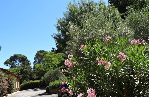 Narbonne House | Mansion In the shade of the big trees of the park, great comfort