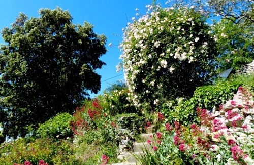 Montclus House | Mansion - Montclus