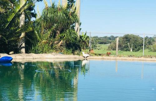 Maleny Apartment | Manuka Getaway