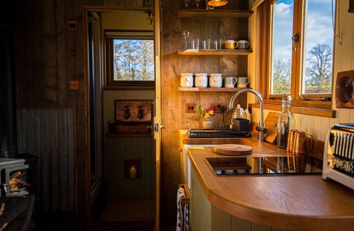 Trusham Cabin | Maple - Little Ash Luxury Shepherd's Hut