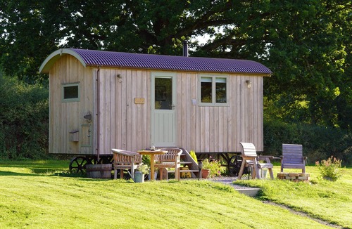 Trusham Cabin | Maple - Little Ash Luxury Shepherd's Hut