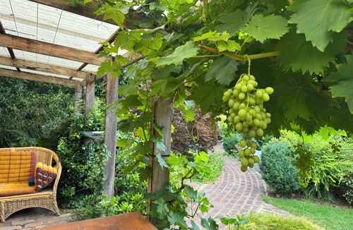 Oakey Park Cottage | Maple Mountain Cottage