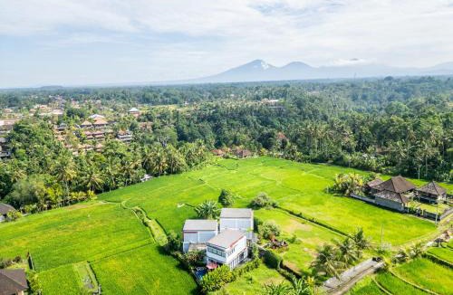Kelusa Villa | Maple Ridge Ubud Villas with Rice Field View