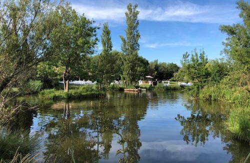 Arles Villa | marais de capeau