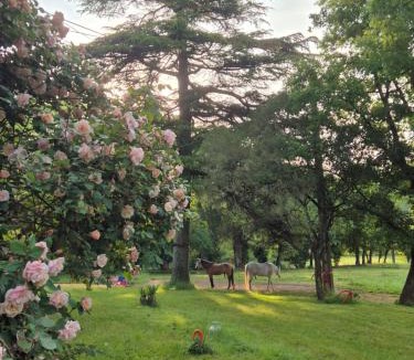 Saint-Benoit Cabin | Marcart, sur le sentier du Miosson Saint Benoit