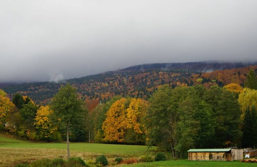 Le Hohwald Hotel | Marchal