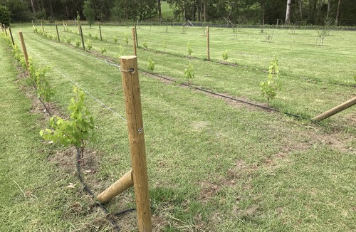 Kangaroo Valley House | Marden Meadows - Luxury home in Kangaroo Valley