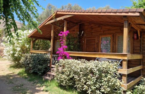 Porto Pollo Hotel | Mare E Monti