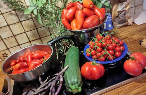 Mars-sur-Allier Bed & Breakfast | Mare Mars Chambres et table d'hotes