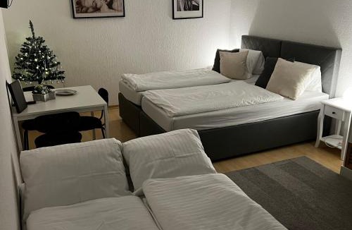 Niederwil House | Marilyn