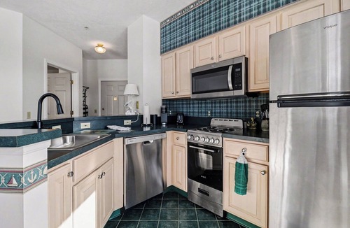 Manistee Condo | Marina Studio- King Bed, No Steps