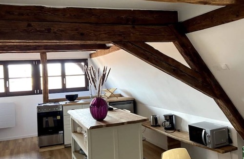 Selestat Apartment | Marine & Comble