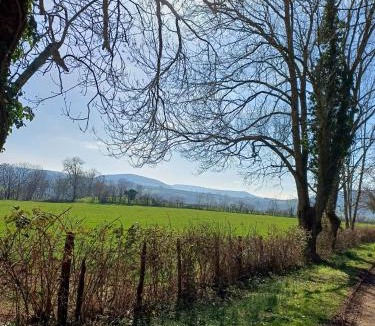 Baulme-la-Roche House | Marionnette