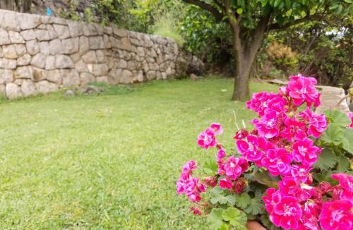 Molunat Apartment | Marivo Guest House