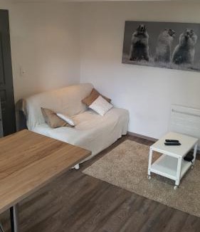 Gerardmer Apartment | Marmotte