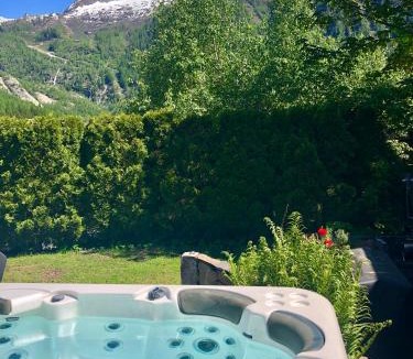 Argentiere Cabin | Marmotte Mountain Manor
