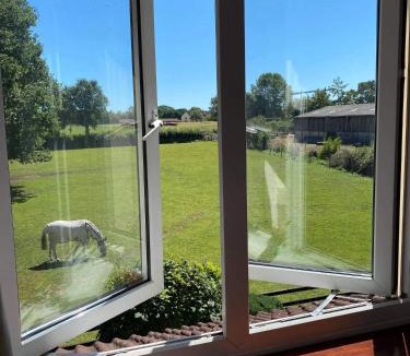 Cannington House | Marsh Farm