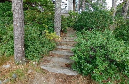 Indian Neck Heights House | Marsh front, Gorgeous Waterview and Deck (CS0025)