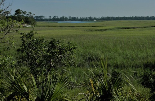 Saint Helena Island House | Marsh View Renovated Home