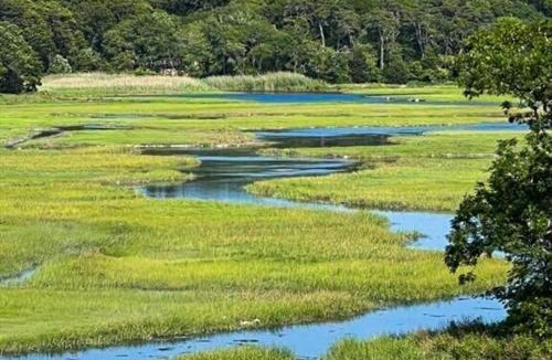 Pocasset House | Marshview Cottage