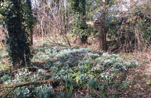Ebbesborne Wake House | Marshwood Farm B&B and Shepherds Hut