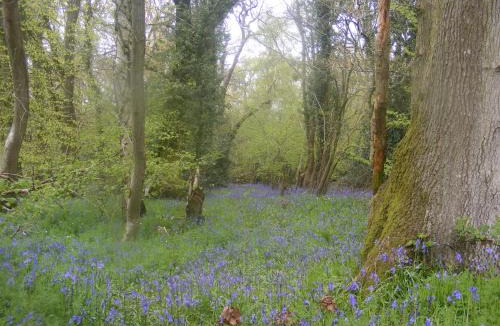 Ebbesborne Wake House | Marshwood Farm B&B and Shepherds Hut