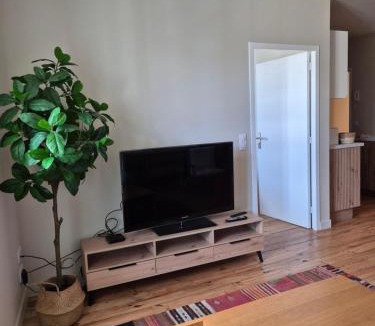 Martel Apartment | MARTEL inLove