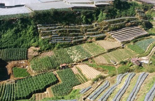 Brinchang Apartment | Mary Apt @ Equatorial Hill Resort