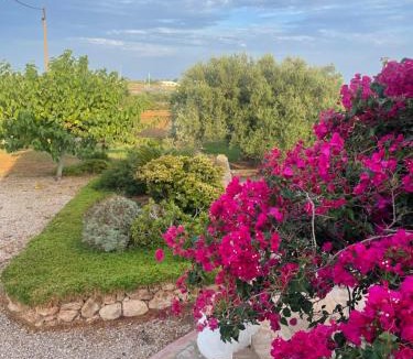 Sant Carles de la Rapita House | Masía Mas Salut