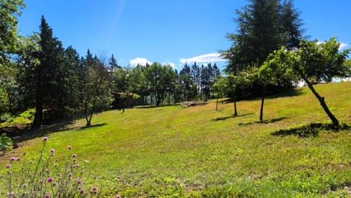 Saint-Marsal Bed & Breakfast | Mas Al Parry