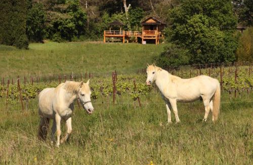 Aigremont Bed & Breakfast | Mas d'Alphonse