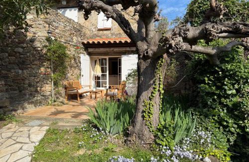 Villelongue-dels-Monts House | Mas D'en Portes