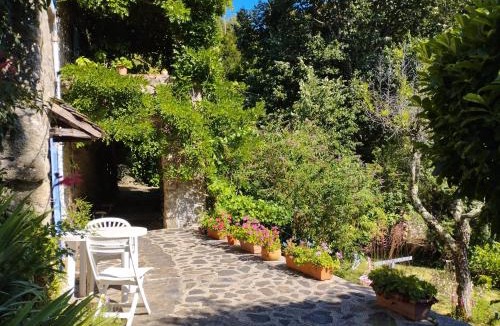 Saint-Andre-de-Majencoules House | Mas de la Petite Occitane - Cévennes sud