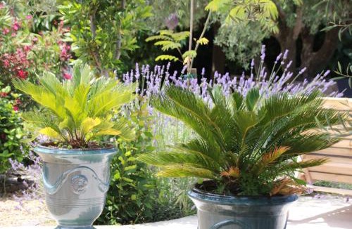 Le Pouget House | Mas de la Frigoule