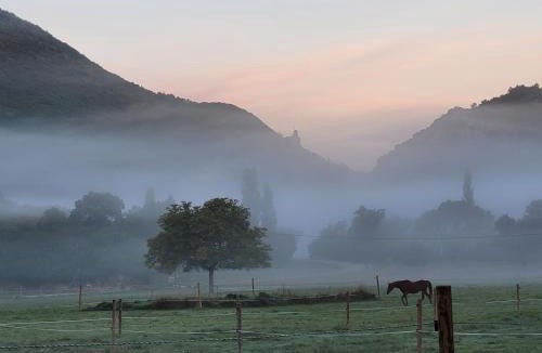 Montbrun-les-Bains Bed & Breakfast | Mas de Reilhanette