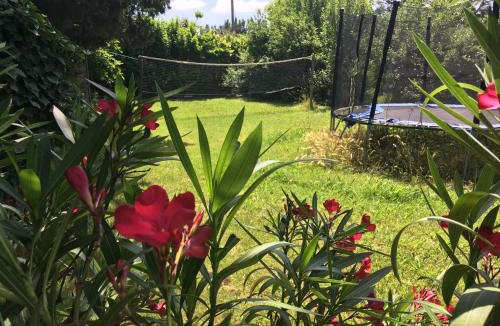 Rognonas House | Mas de Rey