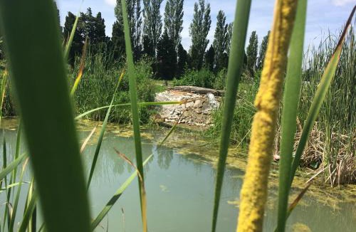 Rognonas House | Mas de Rey