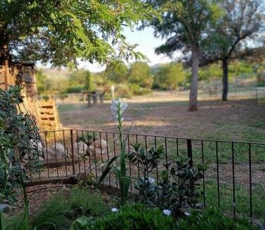 Sobrestany Bed & Breakfast | Mas Del Llop Blanc - Dog friendly Hostal Rural - B&B