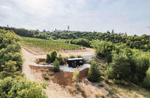 Villeseque Cabin | Mas del Périé - Parcel Tiny House - Tiny House entre vignes et vallée, près de Cahors MAE-2263
