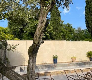 Violes House | Mas des Armouriers