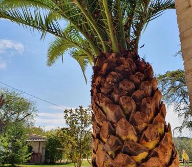 Saint-Julien-de-Peyrolas House | Mas des gardies