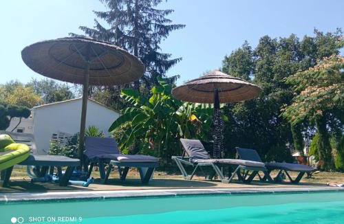 Le Champ-Saint-Pere Bed & Breakfast | Mas des Vignes Piscine chauffée