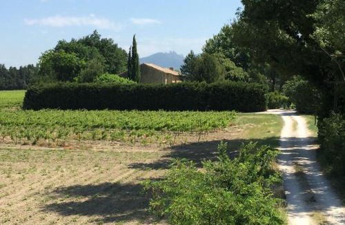 Jonquieres House | Mas du Clos de l'Escarrat