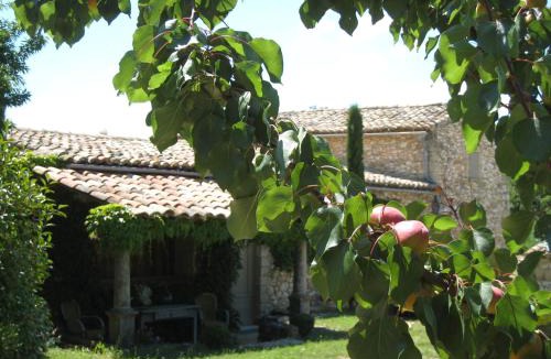 La Capelle-et-Masmolene Bed & Breakfast | Mas du Moutet