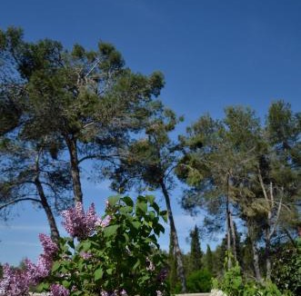 Assas House | Mas du Puech Cymbale