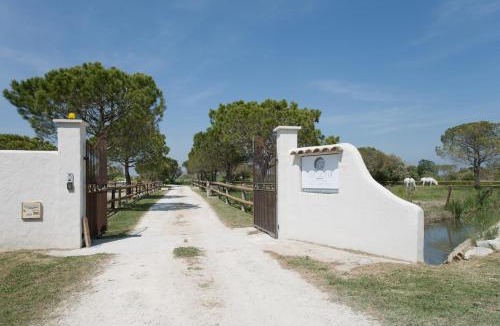 Saintes-Maries-de-la-Mer Bed & Breakfast | Mas Lou Caloun - Chambre d'Hôte face à la piscine en Camargue - Les Saintes Maries de la Mer