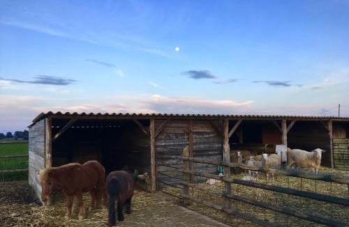 Fonalleras House | Mas Pareta - La Parra