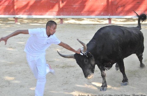 Le Cailar House | Mas Pasquier