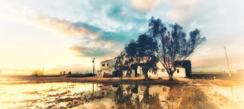 Amposta House | Mas Ranxo Gran
