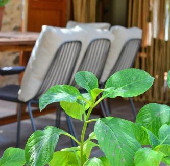Santa Cristina de Aro House | Mas Salvador Rural Experience